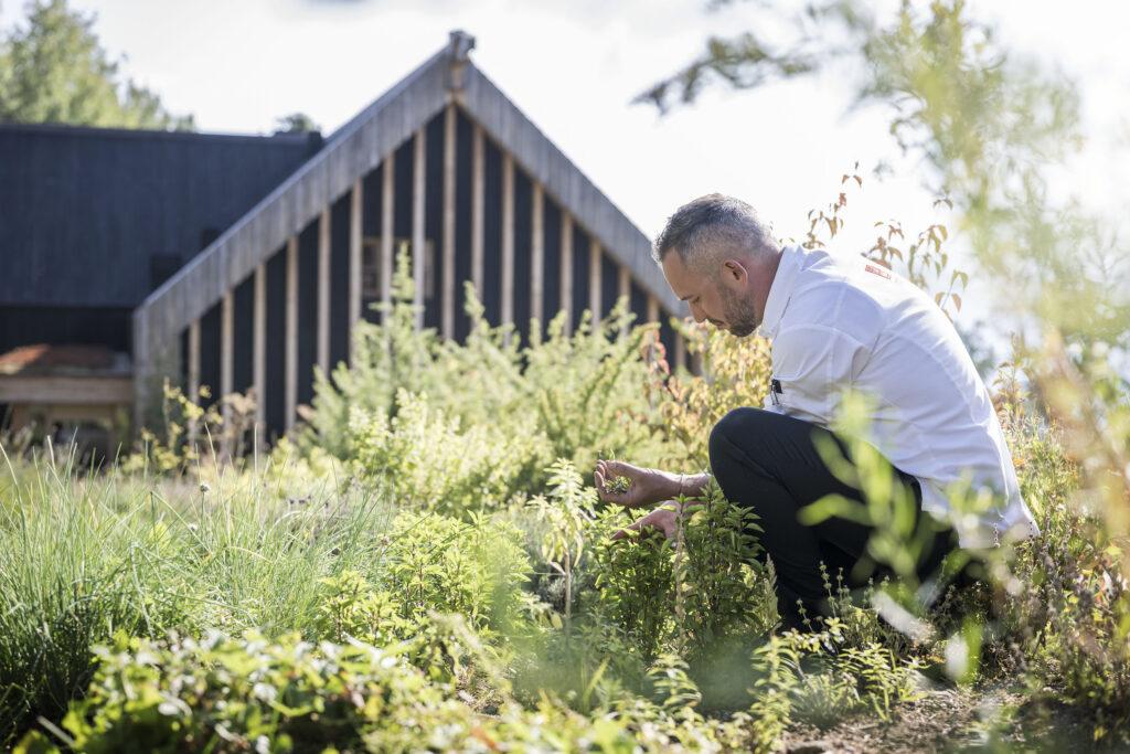 Adler Lodge Ritten, hotel garden, sustainable travel 