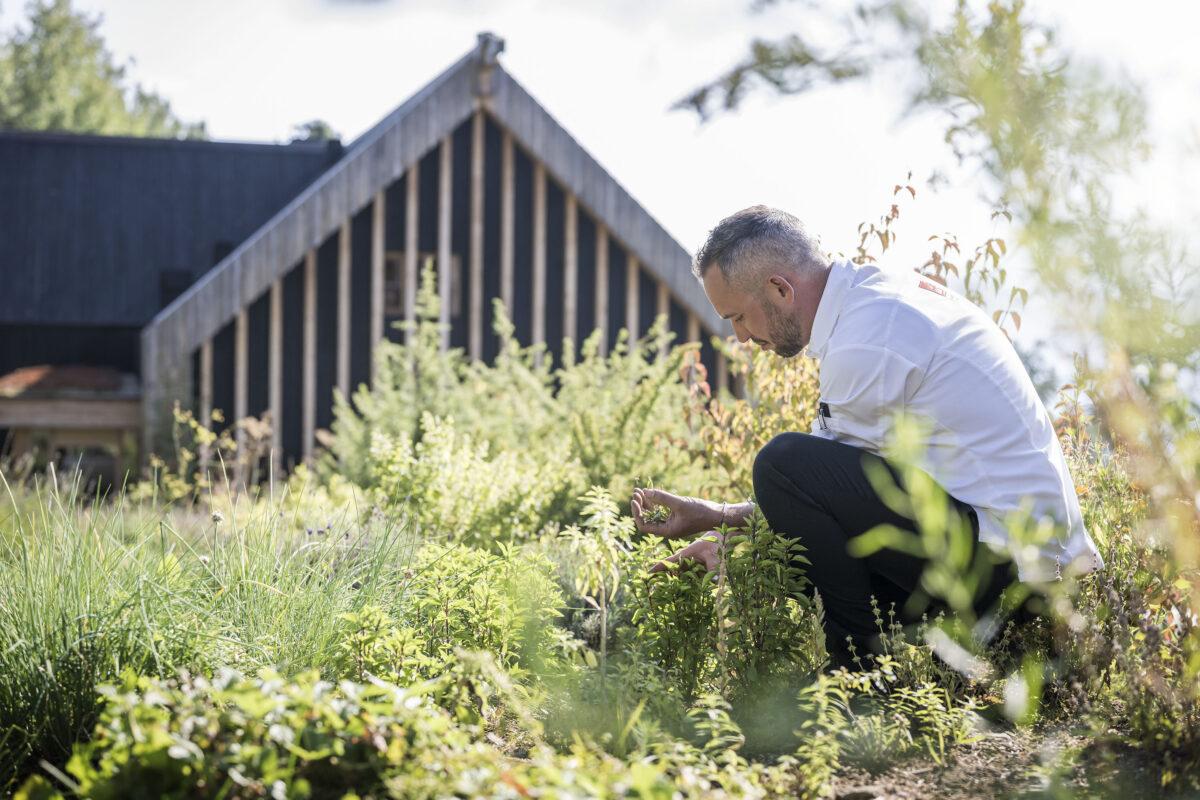 Adler Lodge Ritten, hotel garden, sustainable travel