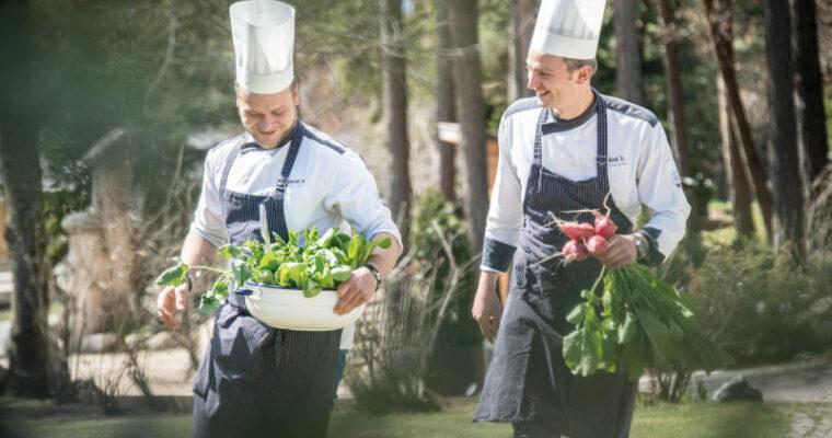Does it have to be organic? – 3 important organic labels (EU) and the response from sustainably focused hotels