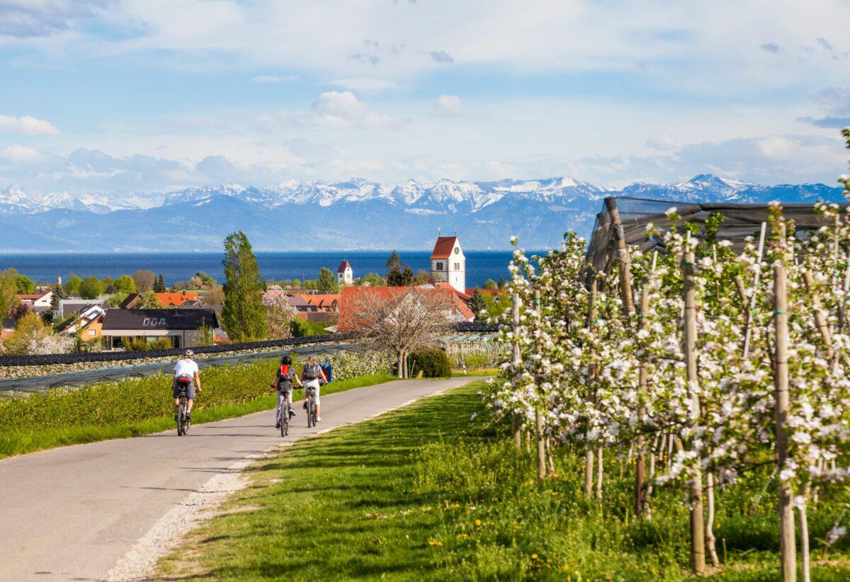 Sustainable travel to Lake Constance – cycling with the family – apple blossom season