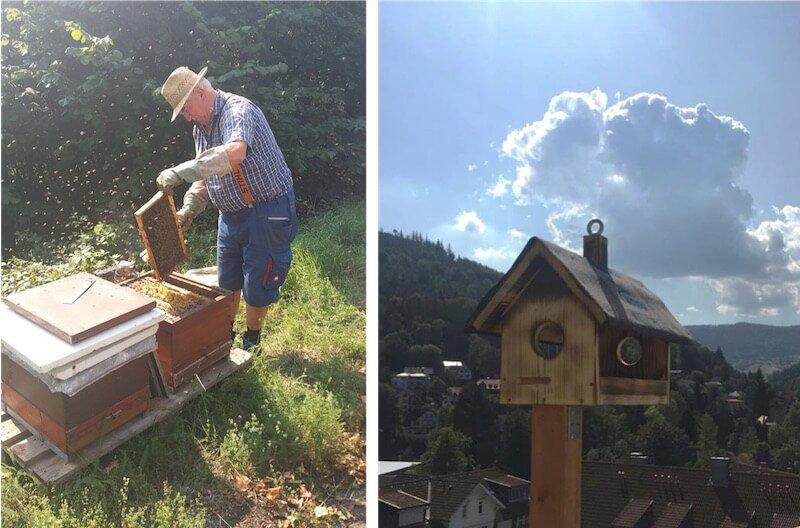 Bee hives and bird house © SCHWARZWALD PANORAMA