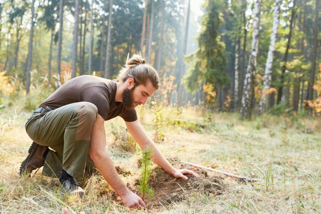 Ein Mann pflanzt einen Baum auf einer Waldlichtung. Bis dieser Setzling nennenswert CO2 binden kann, wird es Jahre dauern
