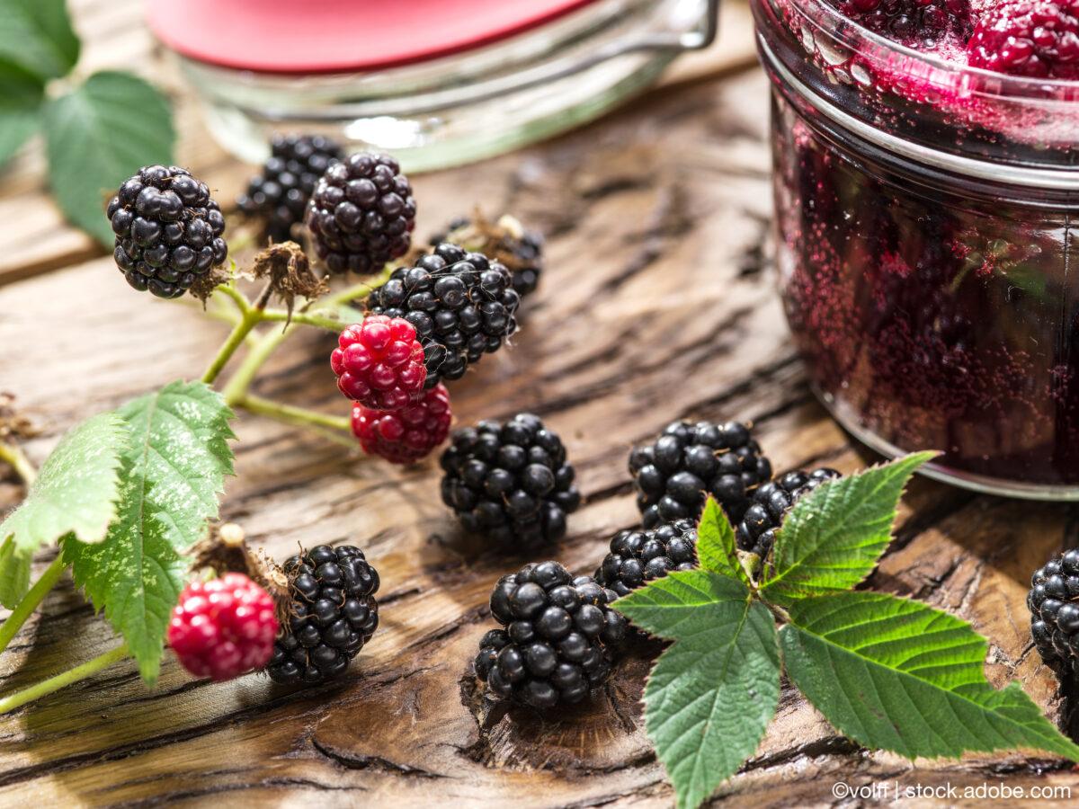 It’s blackberry season!