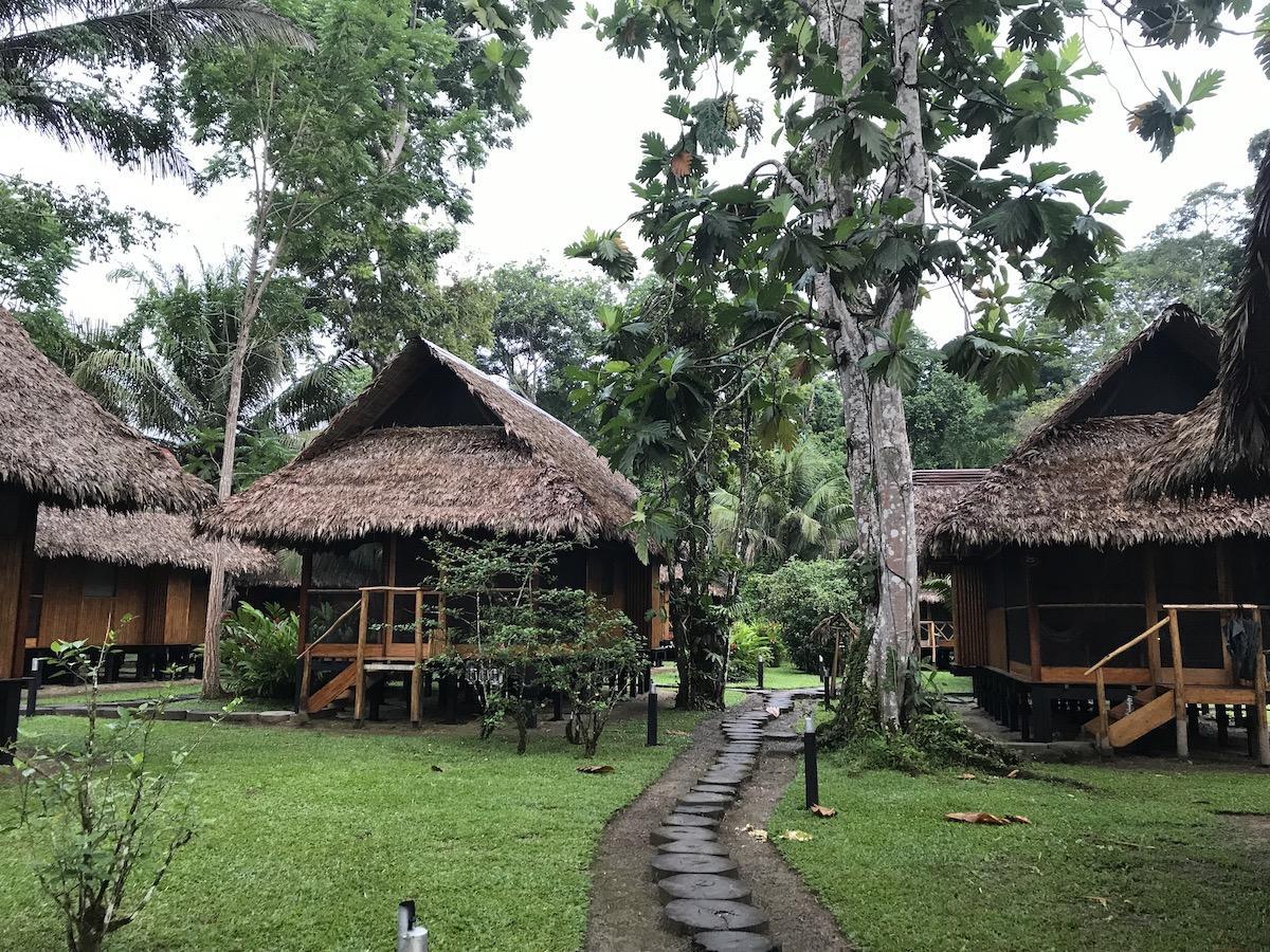 Welcher Urlaub passt zu mir? Eine Reise ins Amazonasgebiet vielleicht? Inkaterra Reserva Amazónica
