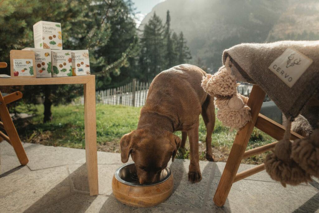 CERVO Mountain Resort Hotelurlaub mit Hund