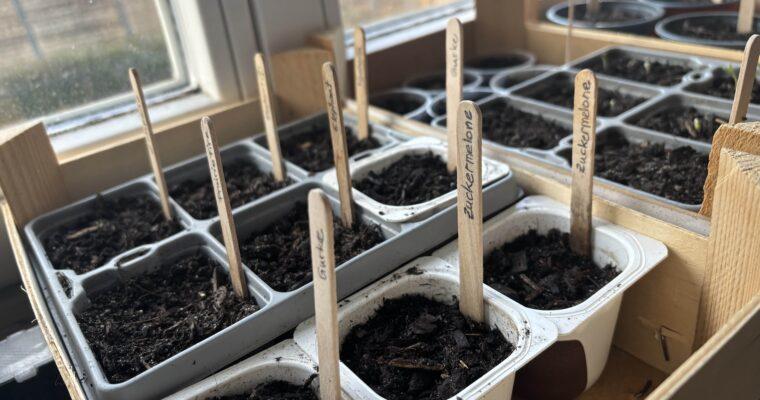 Sowing seeds in January? These vegetables are suitable