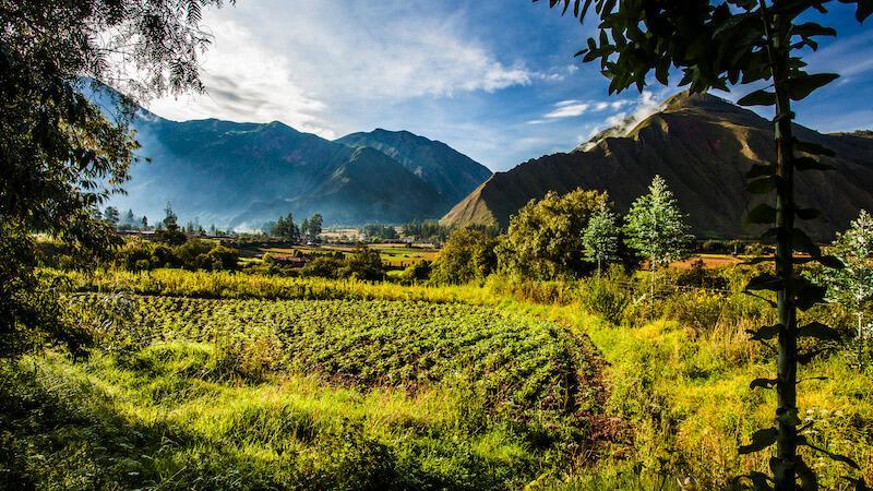 Aus dem Topf in die Tonne? „Food Waste“ in der Gastronomie