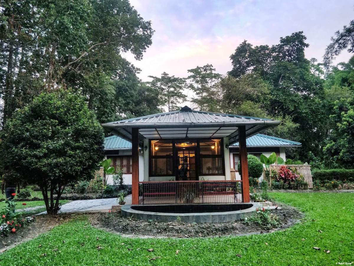 Untouched nature, homestays and lots of tea: The Wild Mahseer in India