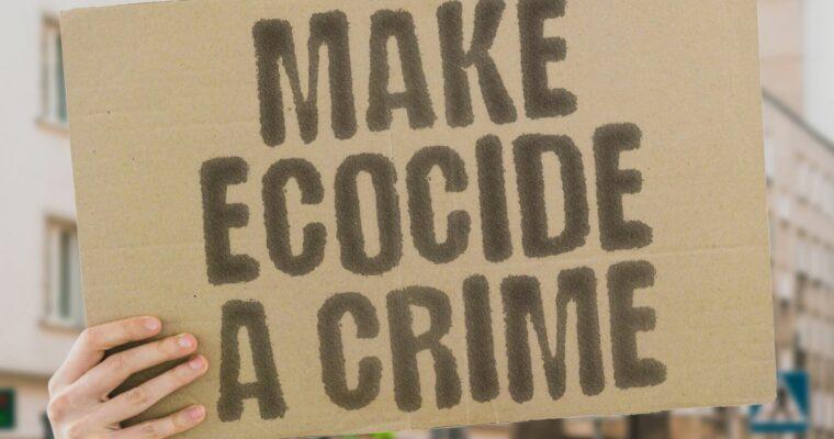 “Ecocide” – what the term means and why it is important