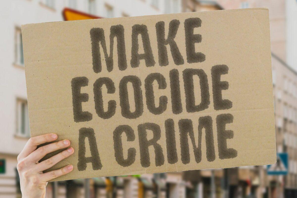 “Ecocide” – what the term means and why it is important
