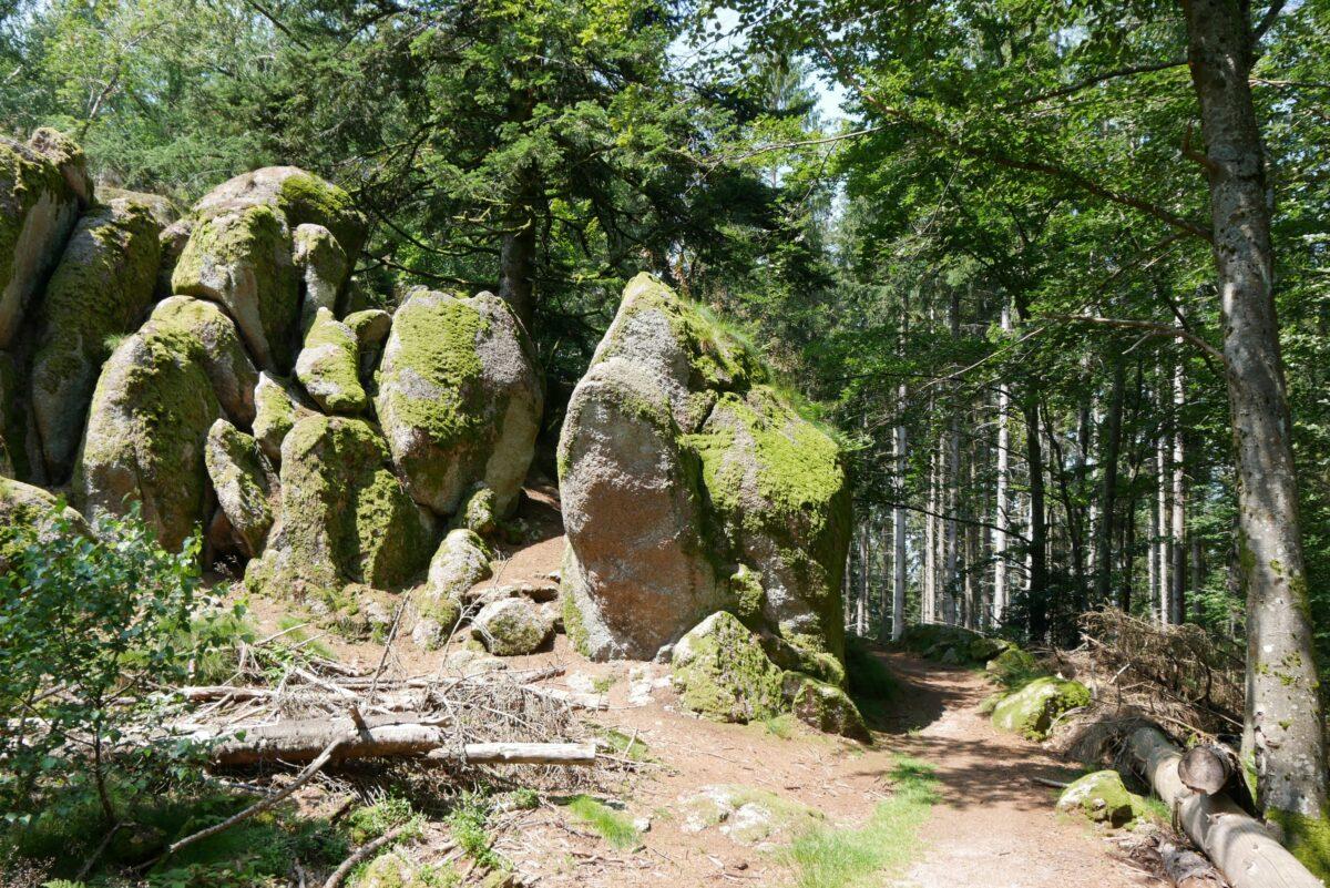 Falkenfelsen in the Black Forest