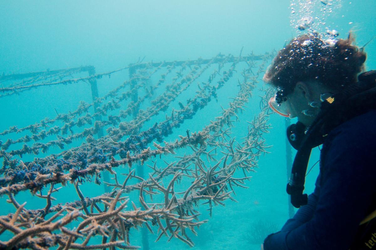 Support sustainable projects while on vacation – where it’s possible