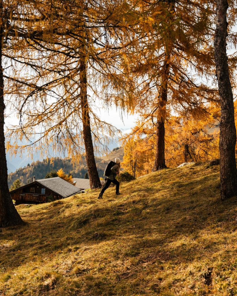 Hiking in East Tyrol