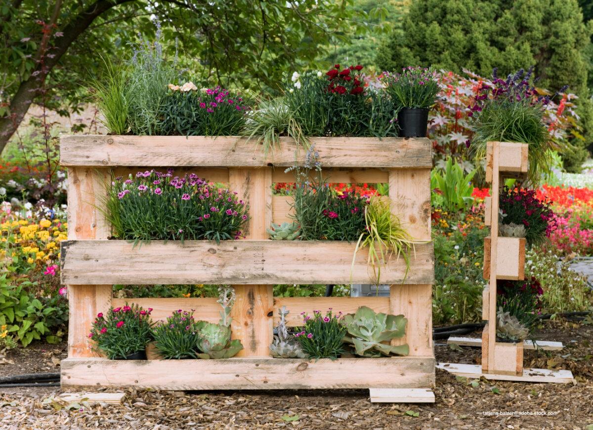 Pallet upcycling: vertical gardening