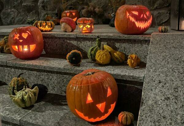 Sustainable Halloween Decor