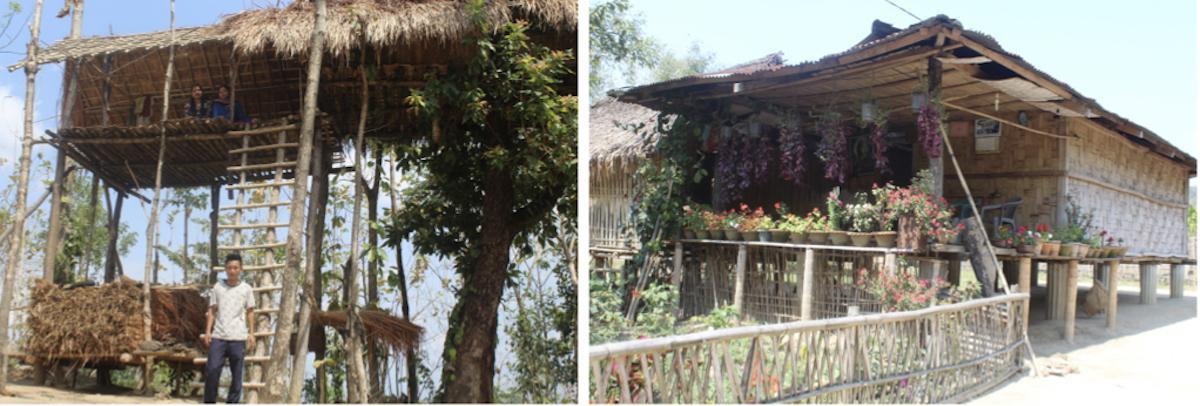 Homestay