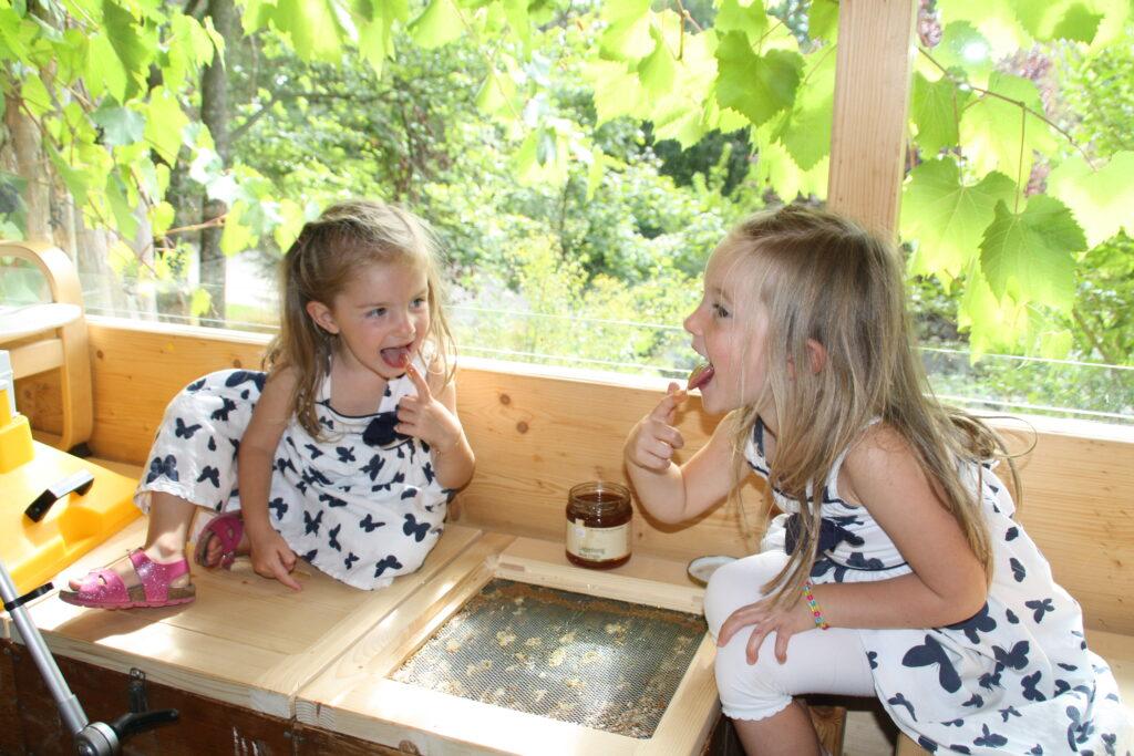 Girls taste honey. Sustainable Travel