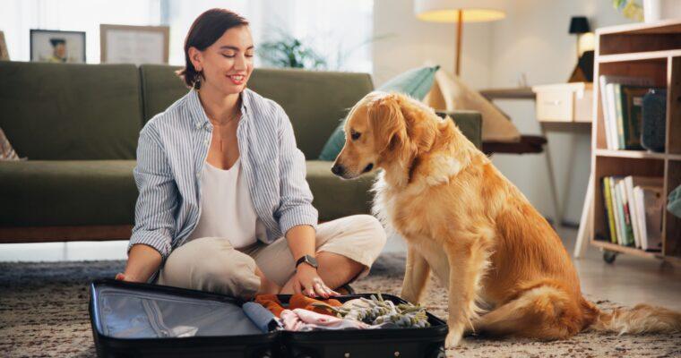 The best hotels for a sustainable vacation with your dog