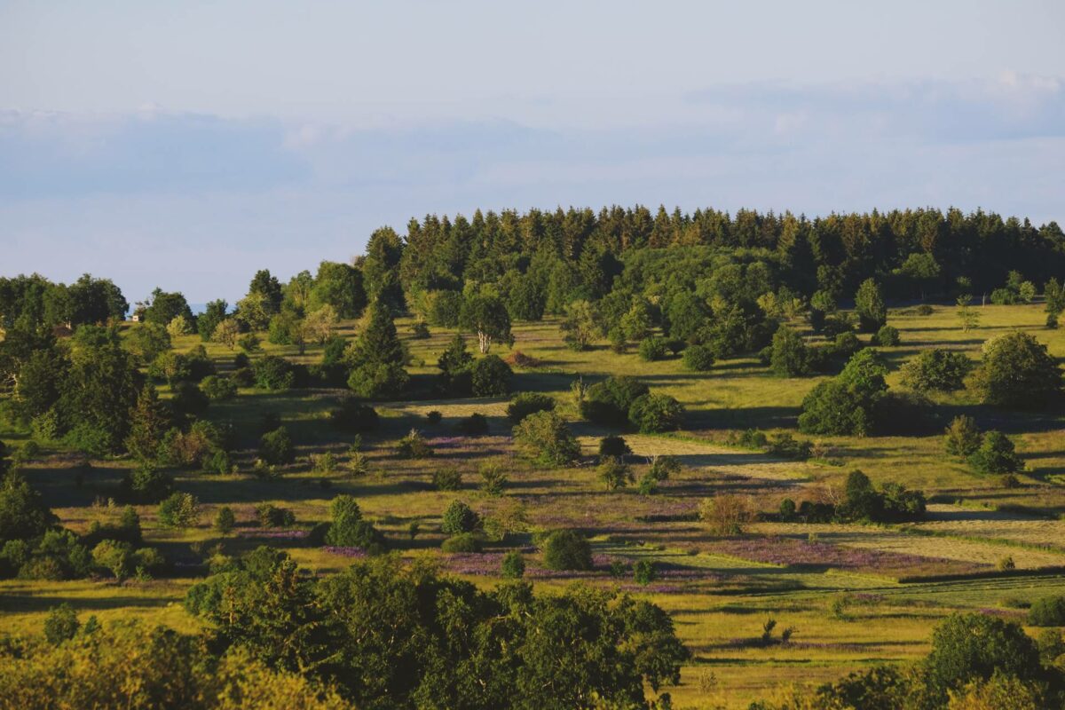 Our Forest: Rhön, Sustainable Travel in Germany