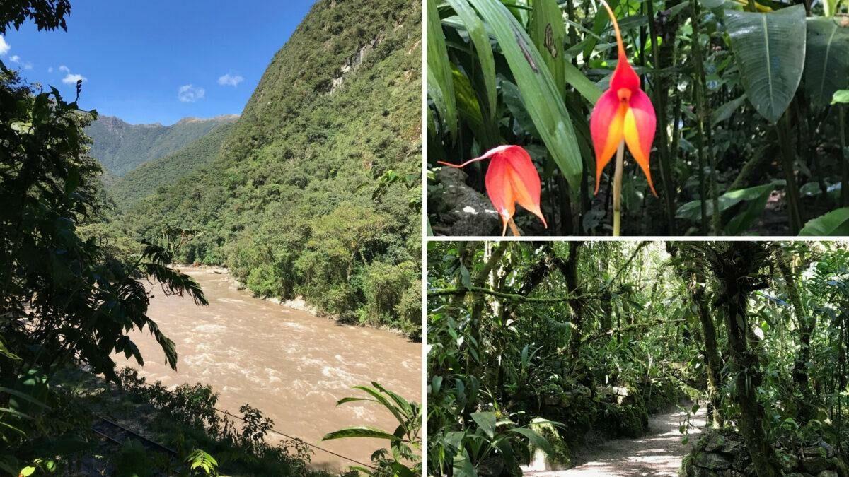 Inkaterra Machu Picchu Pueblo Hotel 