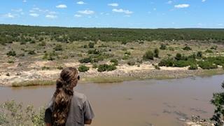 Johanna Bramman looks at water in Kruger National Park in South Africa