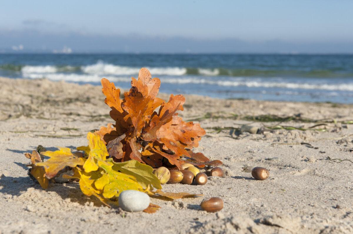 Lifestyle Hotel SAND, Timmendorfer Strand
