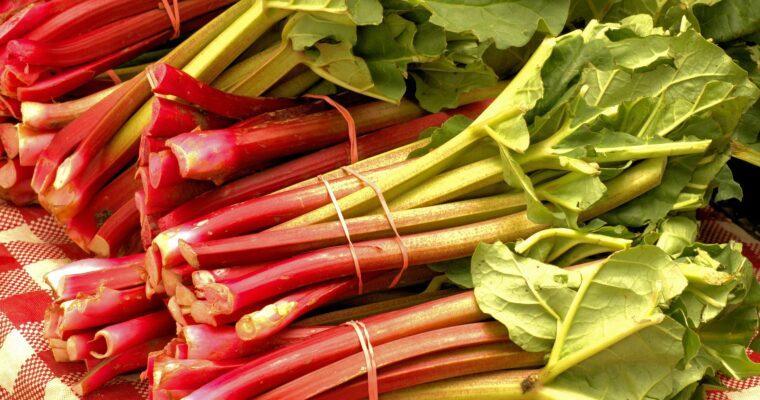 Rhubarb – an underrated superfood