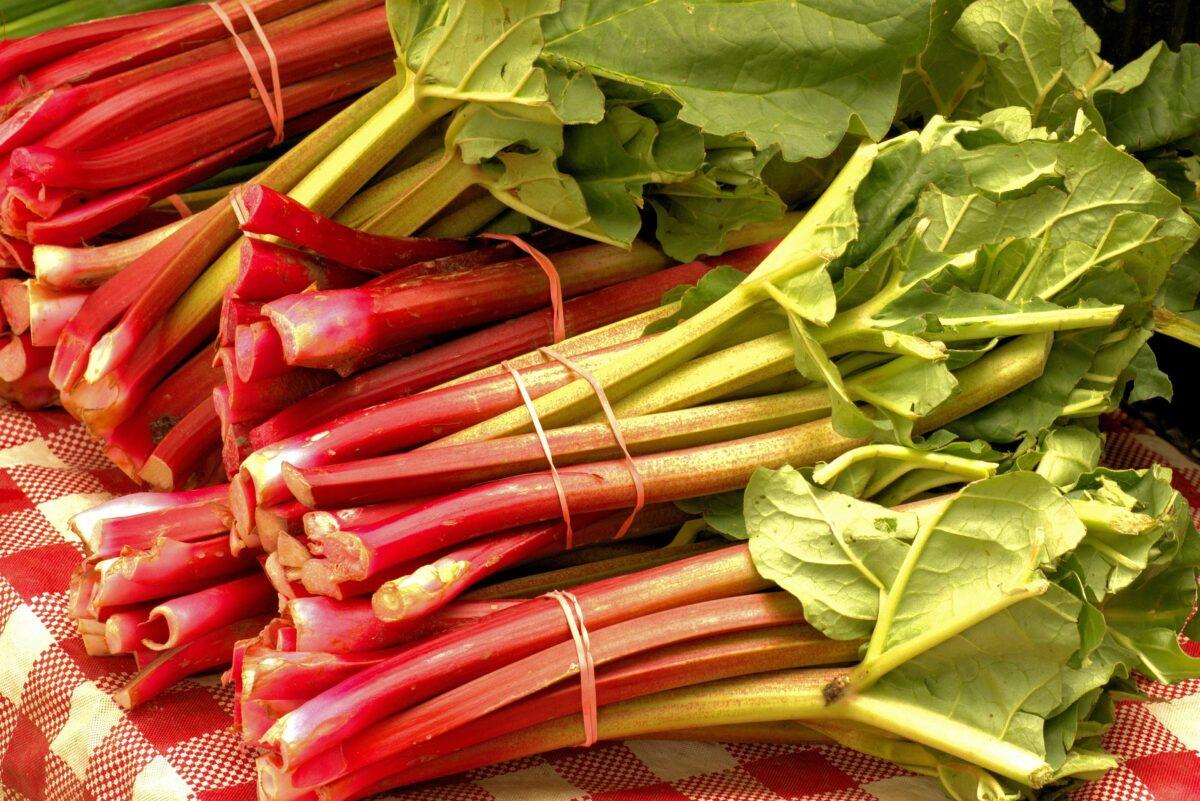 Rhubarb – an underrated superfood