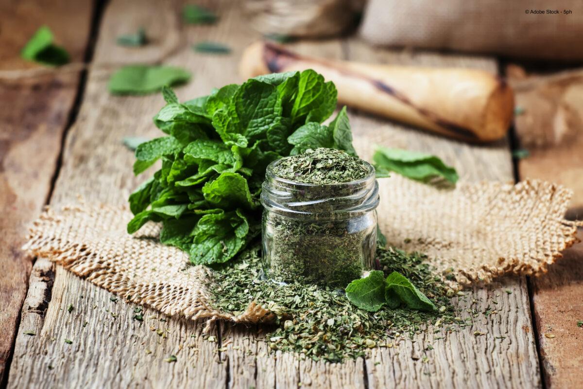 Drying mint – herbal pleasure for the winter