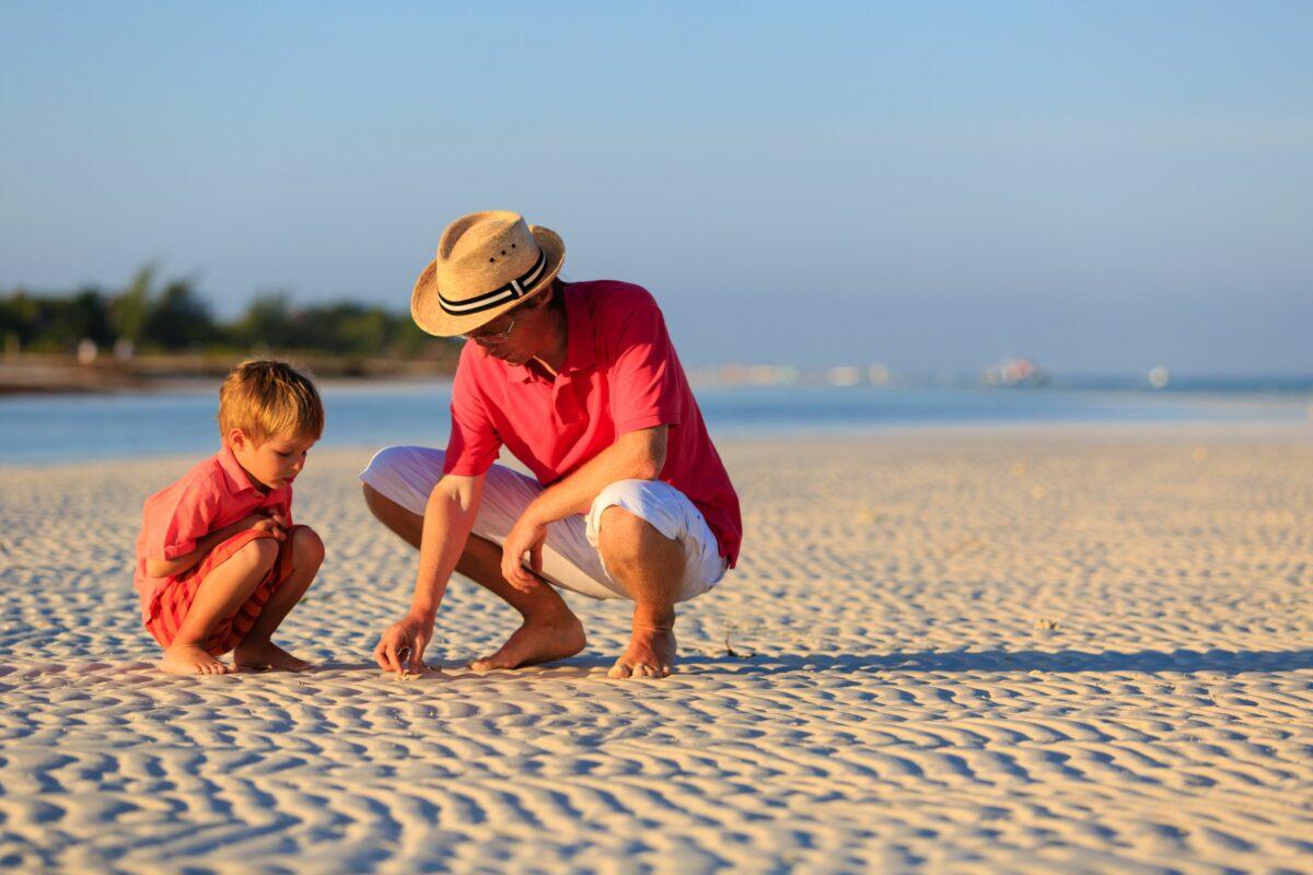 Is it sustainable to collect shells?