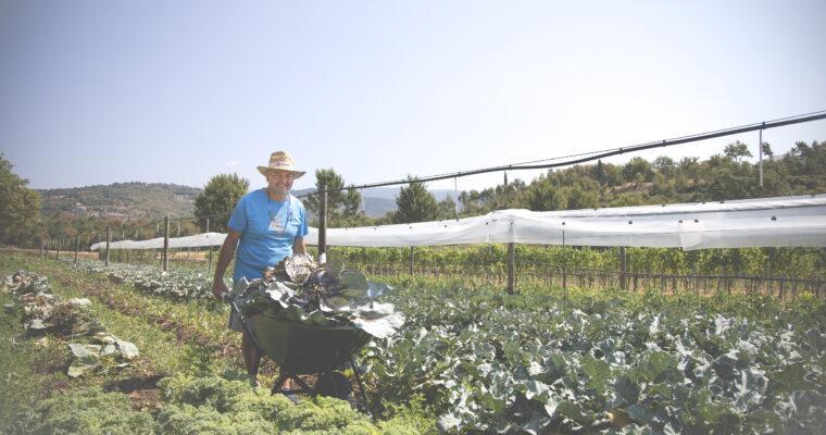 Harvesting their own produce –  hotels with their own farms promoting sustainable measures