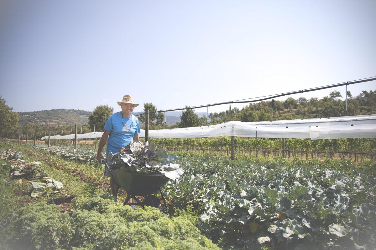 Harvesting their own produce –  hotels with their own farms promoting sustainable measures
