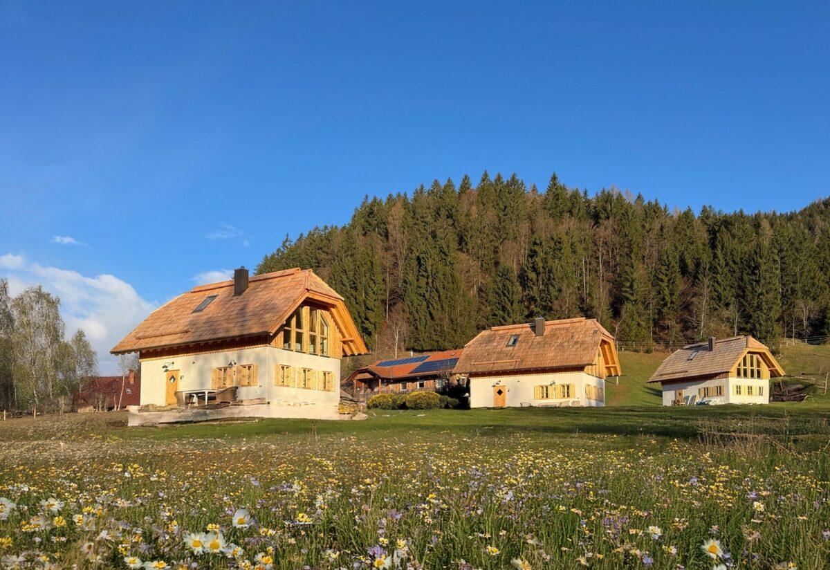 Sustainable vacation homes Ebner 1822 in Austria – exterior view of the three houses in summeSustainable vacation homes Ebner 1822 in Austria – exterior view of the three houses in summer
