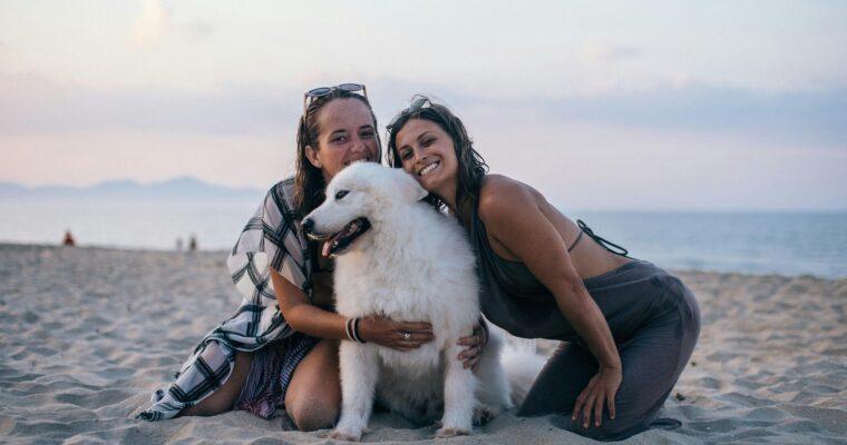 Sustainable travel with your dog: Our tips for a relaxing trip with your four-legged friend