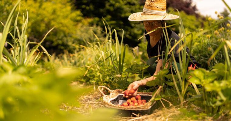 Snack Gardens: Hotels with experience-driven garden concepts and a focus on responsible practices