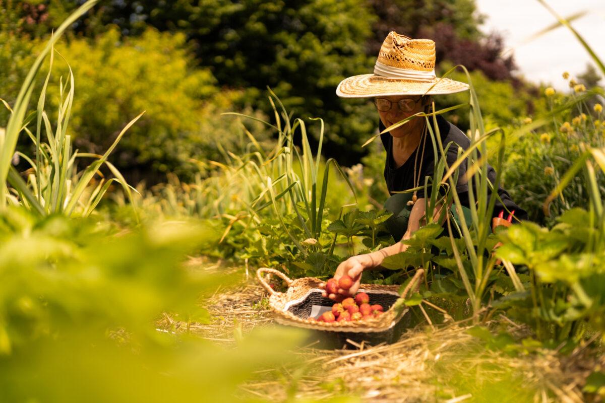 Snack Gardens: Hotels with experience-driven garden concepts and a focus on responsible practices