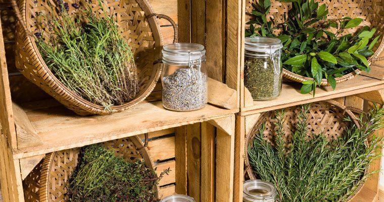 Workshops im Urlaub: Mehr als Ruhe und Entspannung in Green Pearls® Hotels