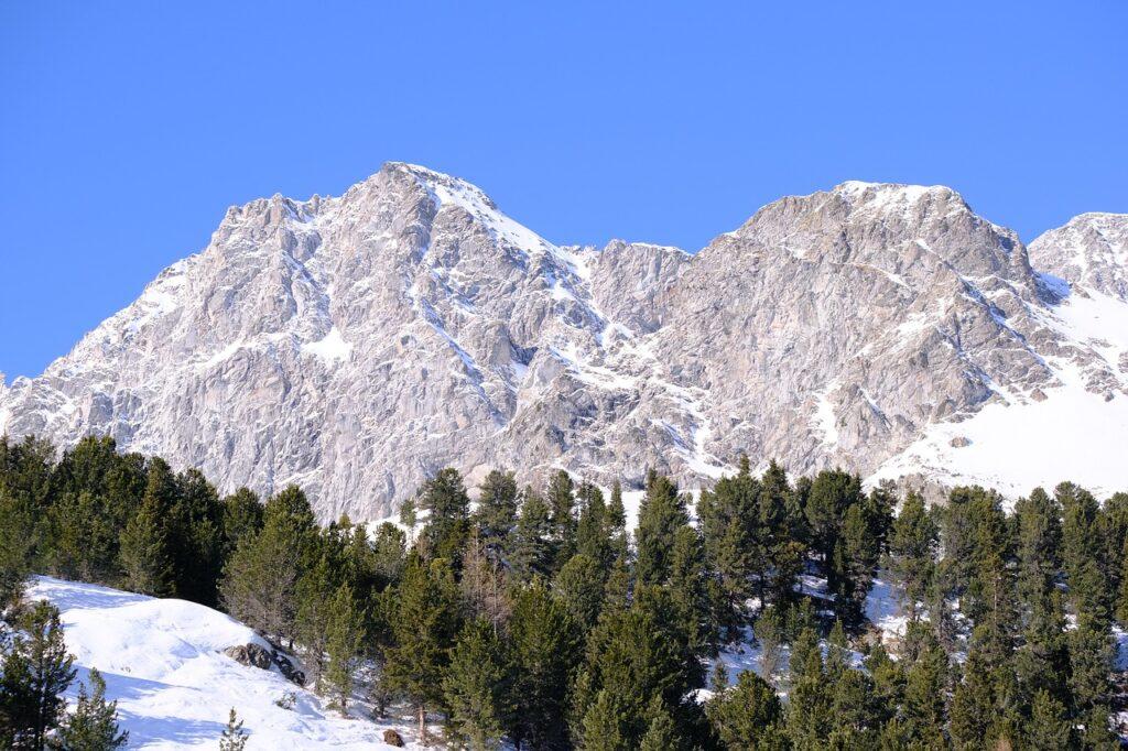 Sustainable travel in the Alps. The Swiss stone pine has a long tradition here as a regional wood with healthy properties.