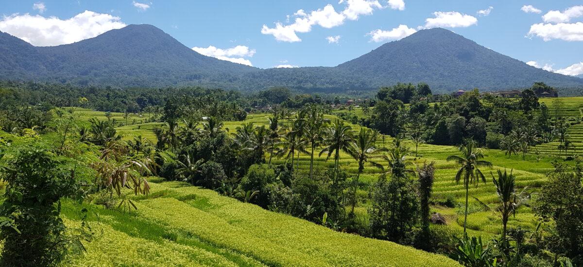 Puri Dajuma Indonesia