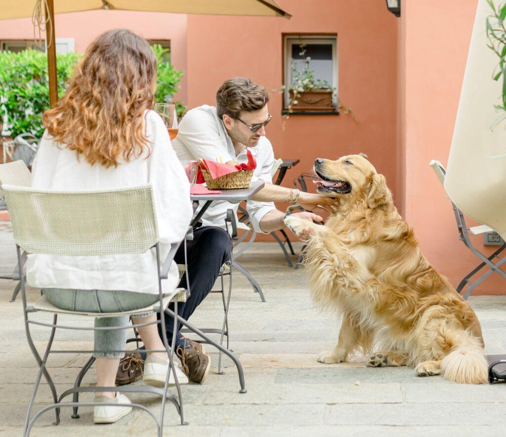 Couple with a dog in a restaurant in italy