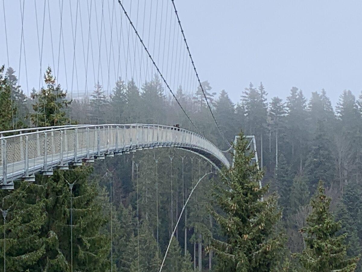 Our Forest: Suspension Bridge in Bad Wildbad