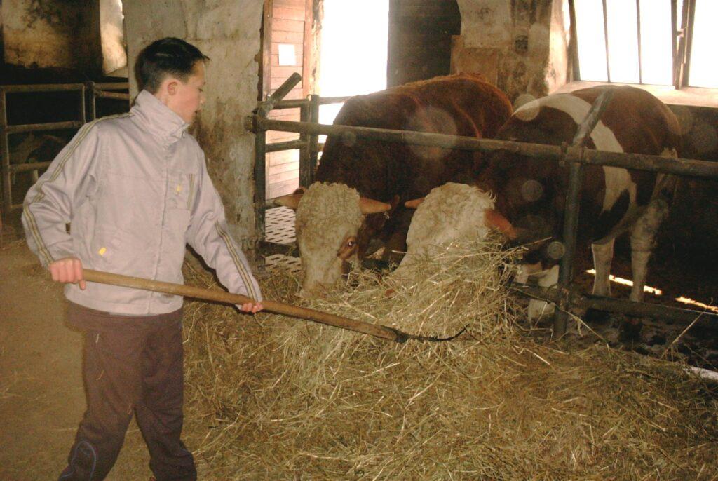 Cowshed at Lerchenhof Castle Man with pitchfork