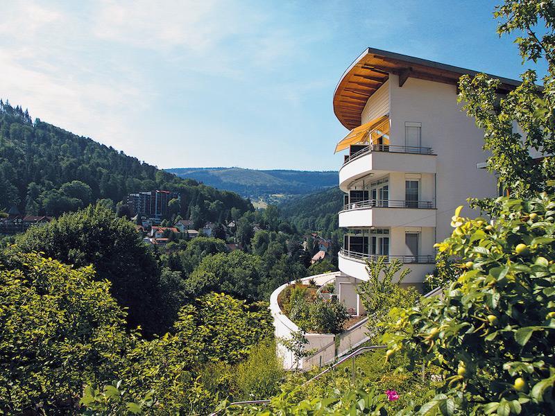 Schwarzwald Panorama