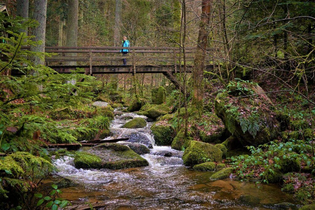 Fasting vacation in the Black Forest. Resting on a bridge over a river in the forest