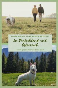 Urlaub mit Hund DE u OE-1
