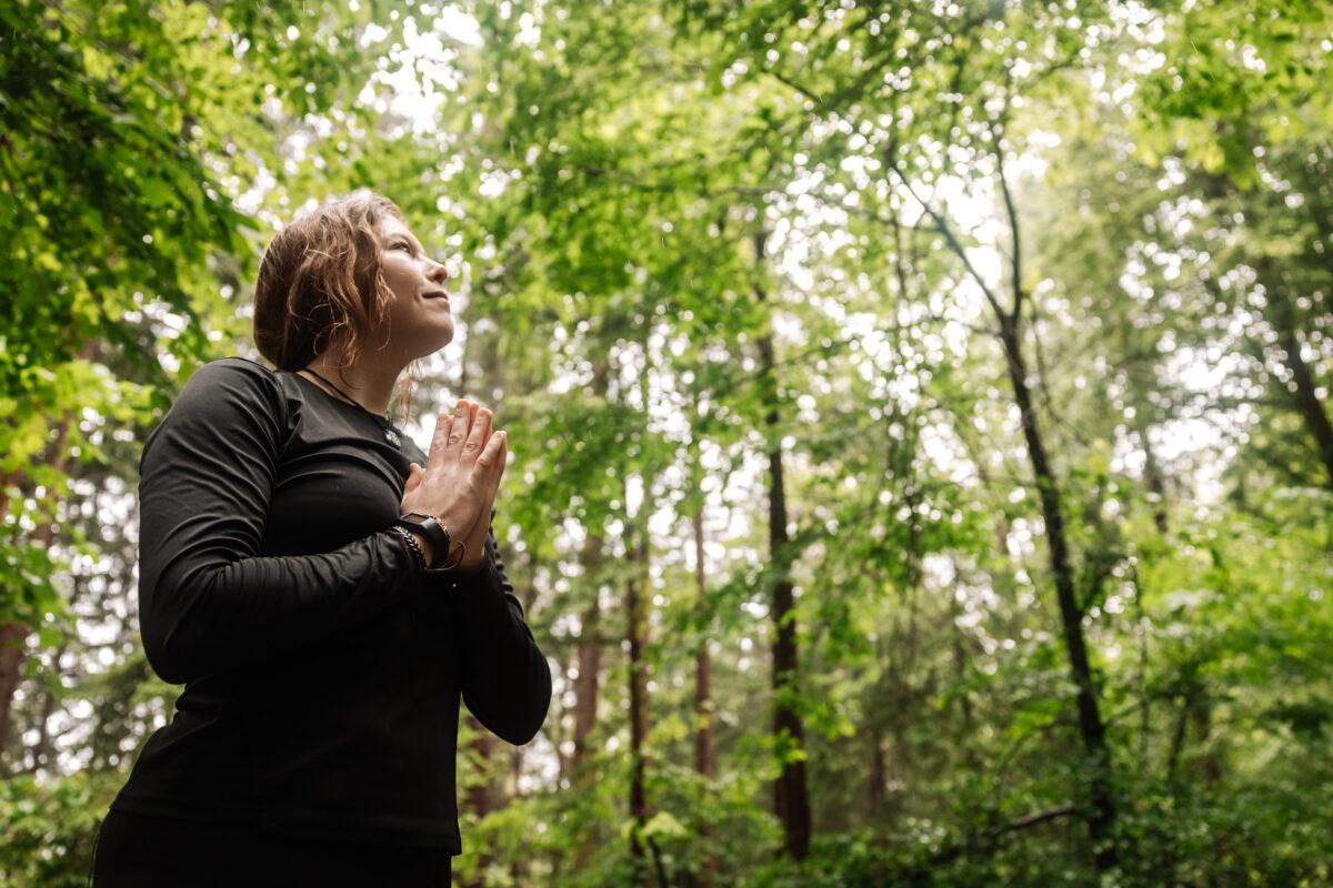 Mindfulness while traveling: forest bathing and relaxation in nature