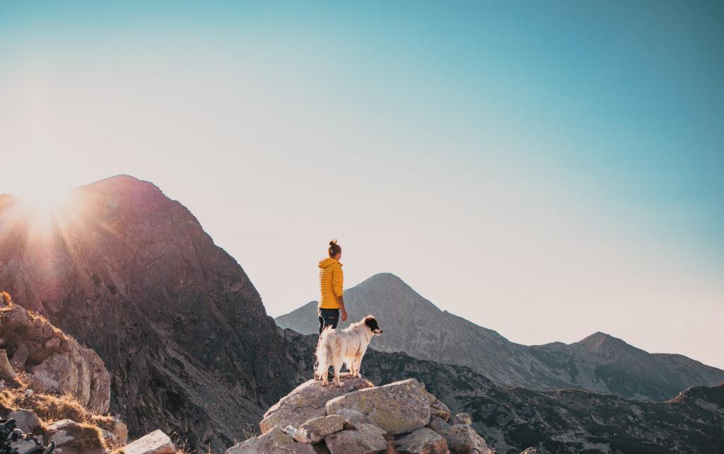 Hiking with a dog in the mountains | Woman with white dog sitting on mountain peak in summer landscape slow travel and freedom concept
