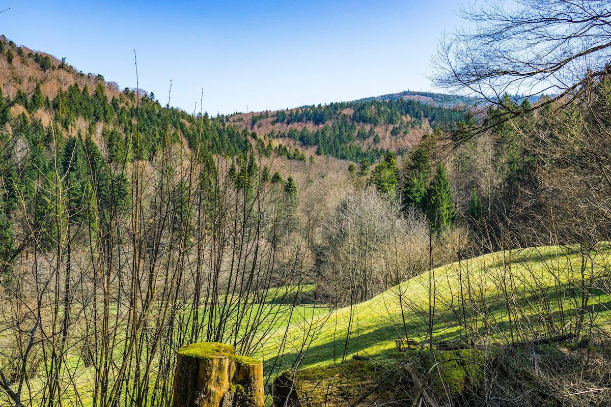 The Black Forest, Sustainable Travel in Germany