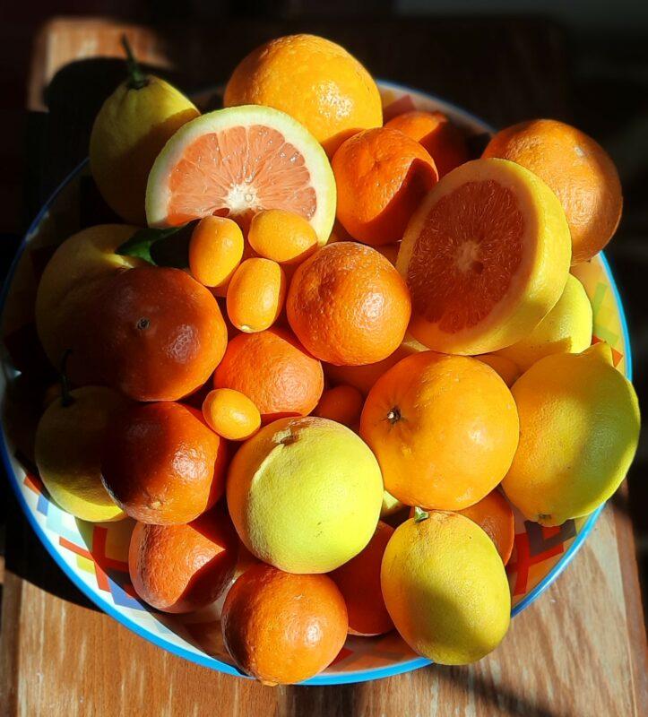 How to eat citrus fruits with the peel