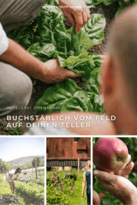 Hände ernten frische Blätter auf einem Feld, darunter drei kleinere Bilder mit einer Frau im Gemüsegarten, einer Person vor einem Bauernhaus und einer Hand, die einen Apfel hält